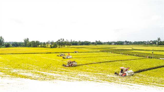 鲁能四大留洋新星有望在中超亮相!这两人或将被李霄鹏重用:bsports必一(图3) bsport必一运动