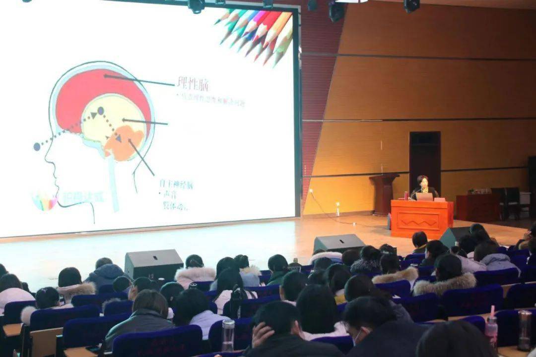 “bsports必一”
聊都会幼儿园园长培训暨幼儿自主游戏现场会在高唐举行(图6)