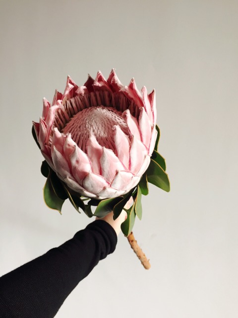 【必一·体育】国安中卫位置急需国脚级强援助阵 名嘴直言国安若有他将稳拿冠军(图3) bsports必一