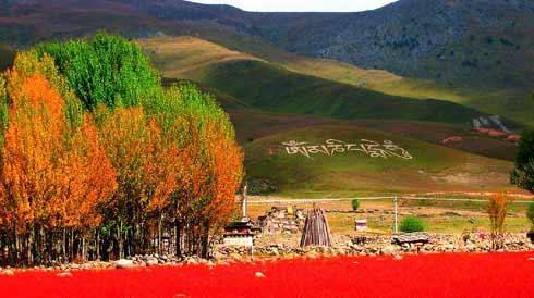 煤矿复产达往年同期水平【必一·体育】(图2) bsports必一