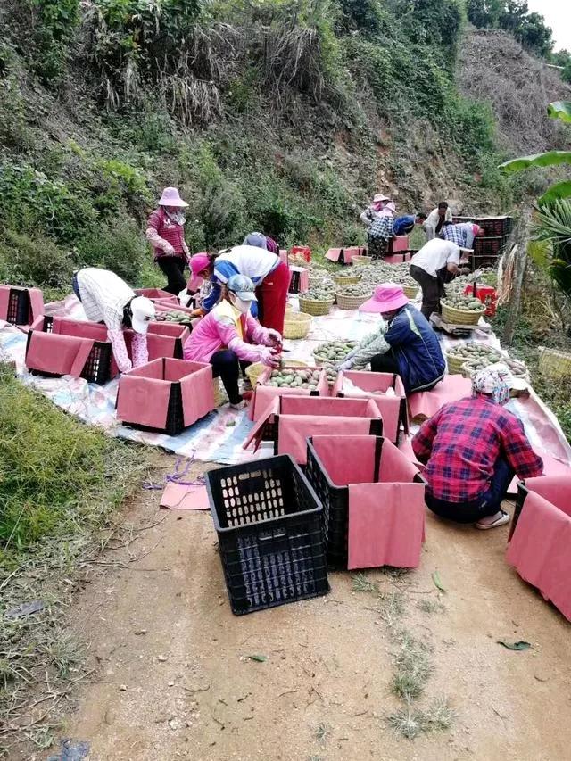 微靖江:长安幼儿园开展“大手拉小手 一起来运动”亲子运动会:bsport必一运动(图1) bsport必一运动