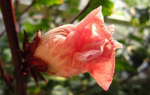 bsport必一运动|助阵智慧城市远光软件参展香港国际资讯科技博览会(图1) 必一·体育