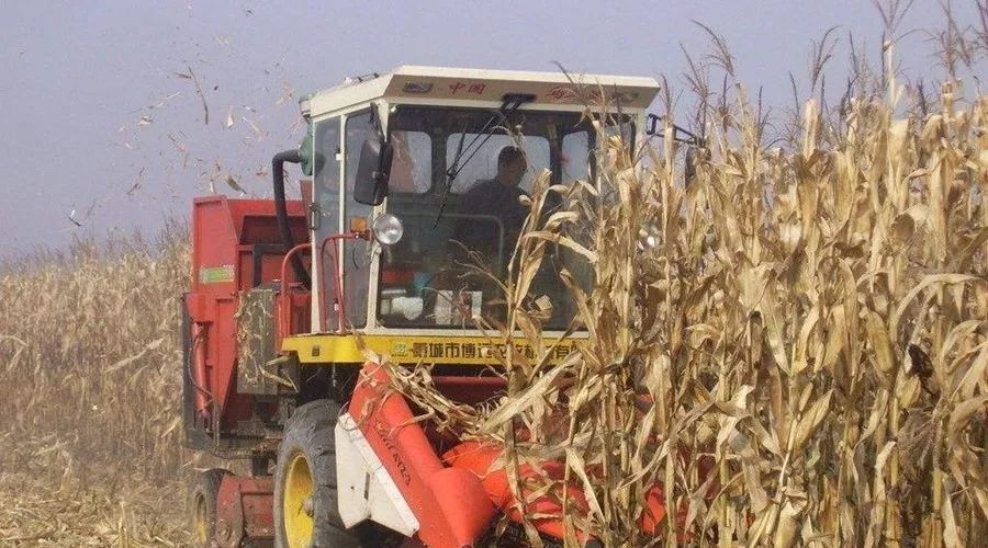 ‘bsport必一运动’CC直播看《梦幻西游三维版》 每天五台iPhone 11等你拿(图1) bsport必一运动