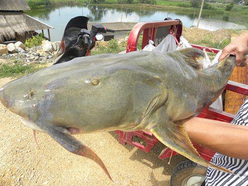 恒大发挥抢眼却遭名记“泼脏水”?两大事实力证恒大清白之身:必一·体育(图1) bsport必一运动