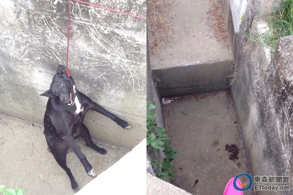 盘点最会抢人头的5位英雄,蒙犽志在支援,她就是馋人头|bsport必一运动(图2) 必一·体育