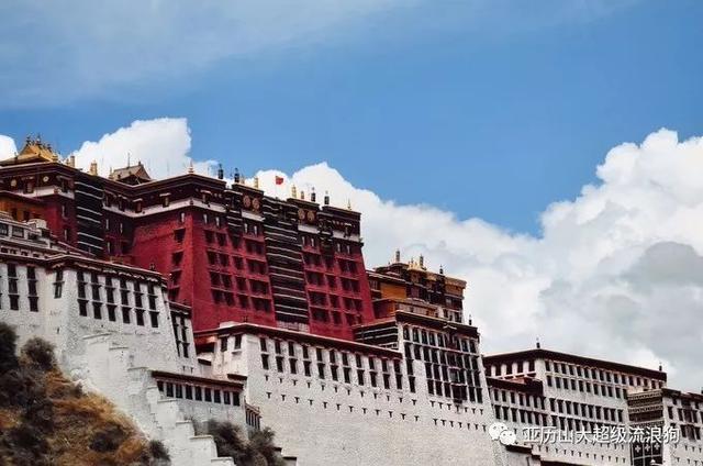 这3大电力高校,实力强劲,结业生被国家电网承包:bsport必一运动(图1) bsports必一