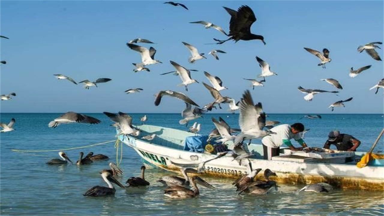 5G与电力的“那些事儿”:bsport必一运动(图1) bsports必一