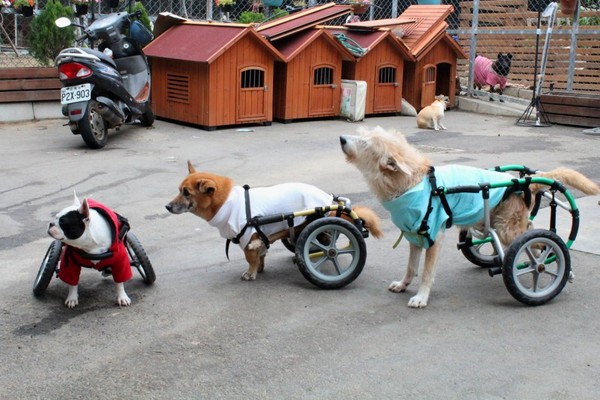 国务院安委办:徐矿集团盲目下达利润指标:必一·体育(图3) bsport必一运动