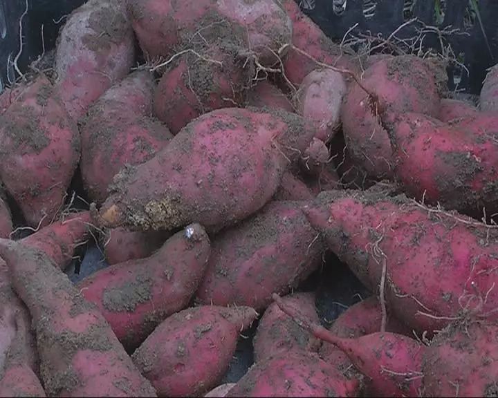 bsports必一|PSV三月份五款3A大作游戏推荐(图1) bsports必一