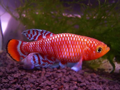 【必一·体育】内蒙古自治区能源局开展煤矿安全生产和煤炭保供专项检查(图1) 必一·体育